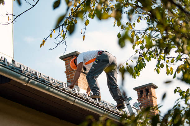 Best Storm Damage Roof Repair  in Milford, PA