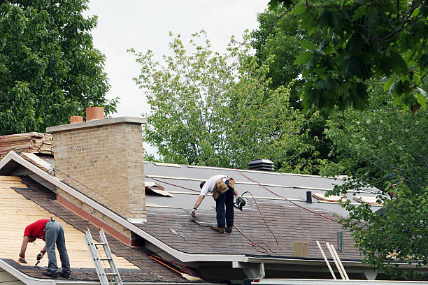 Roof Gutter Cleaning in Milford, PA